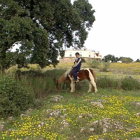 Hotel Hotel Paraje La Lambra 3*